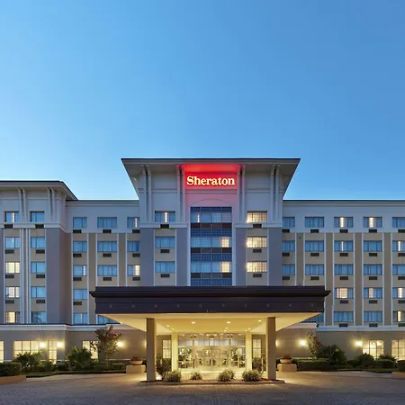 Sheraton Jacksonville Hotel-3
